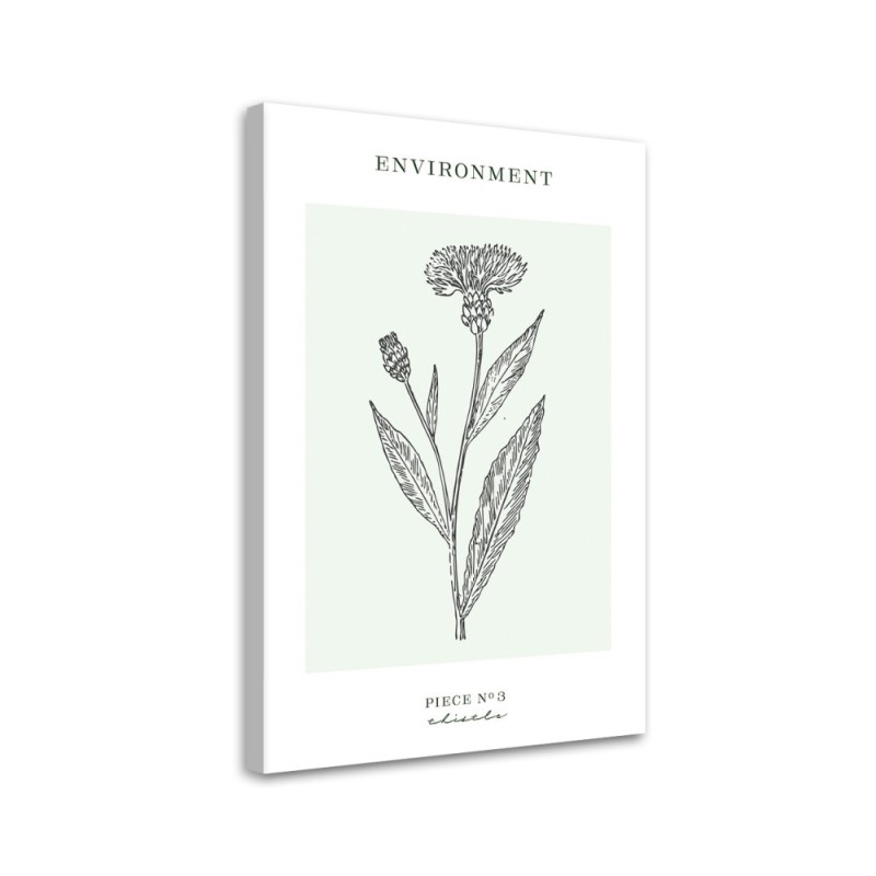 Leinwandbild - Distelblume - Umwelt | Feeby