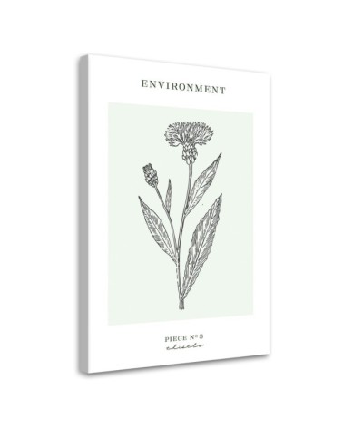 Leinwandbild - Distelblume - Umwelt | Feeby