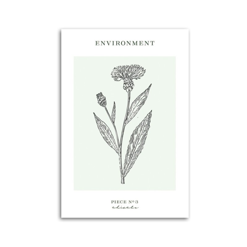 Leinwandbild - Distelblume - Umwelt | Feeby