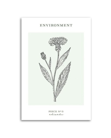 Leinwandbild - Distelblume - Umwelt | Feeby