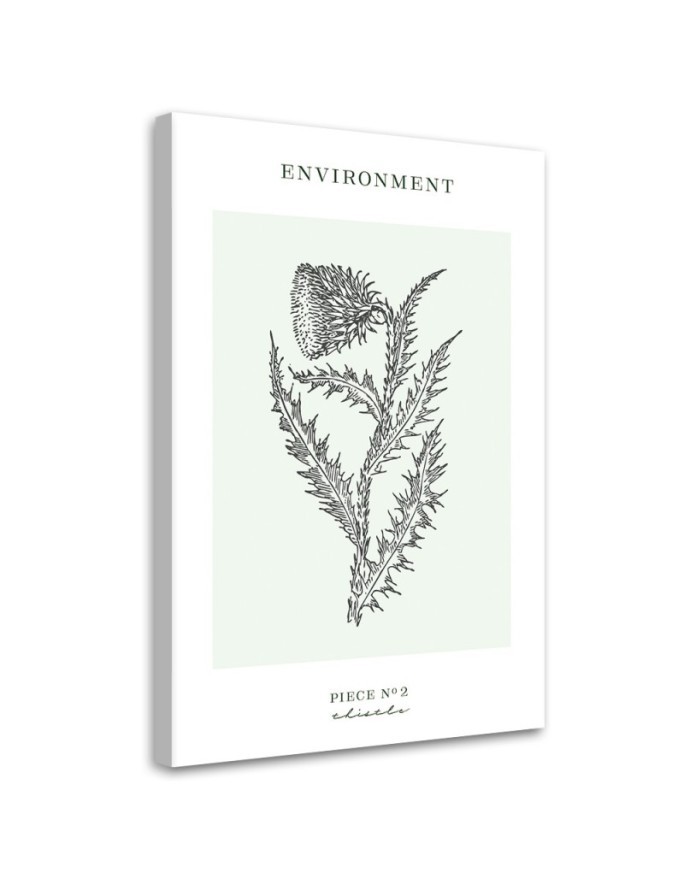 Leinwanddruck - Distelblume - Umwelt | Feeby