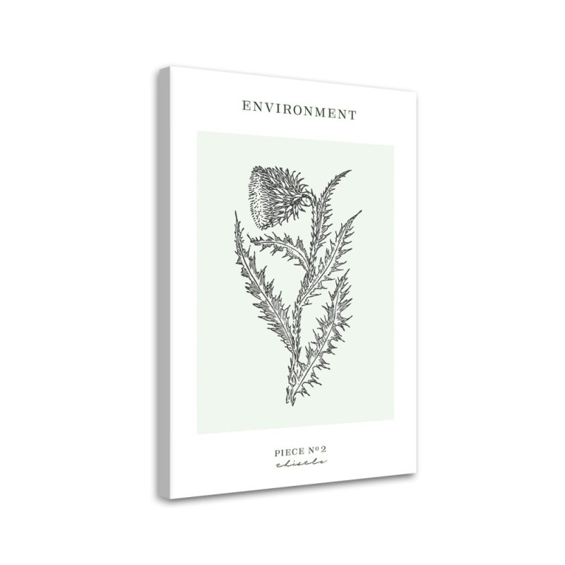 Leinwanddruck - Distelblume - Umwelt | Feeby