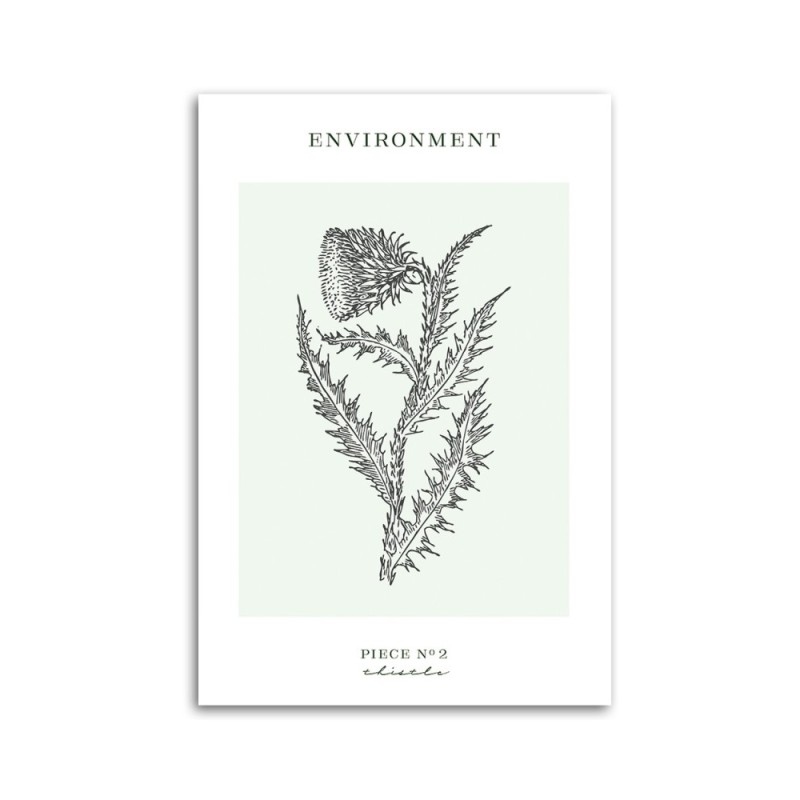 Leinwanddruck - Distelblume - Umwelt | Feeby