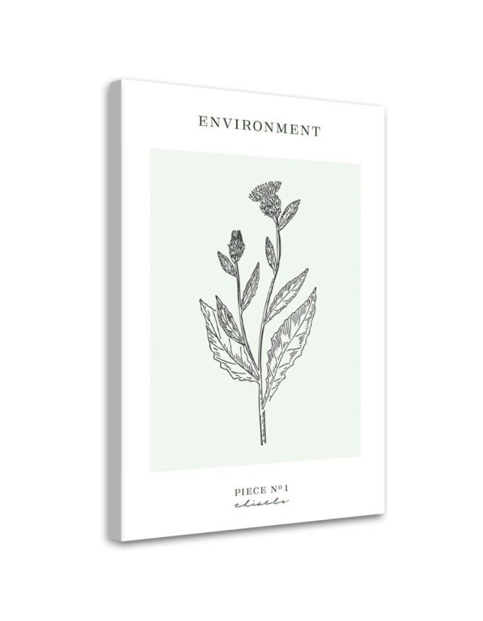 Bild auf Leinwand - Distelblume - Umwelt | Feeby