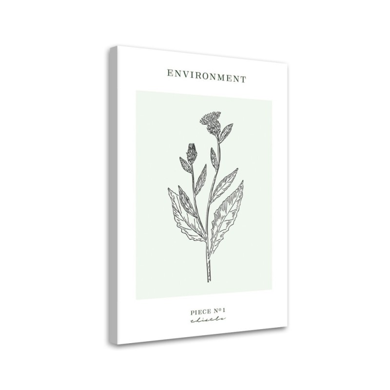 Bild auf Leinwand - Distelblume - Umwelt | Feeby