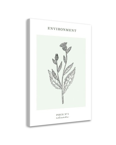 Bild auf Leinwand - Distelblume - Umwelt | Feeby