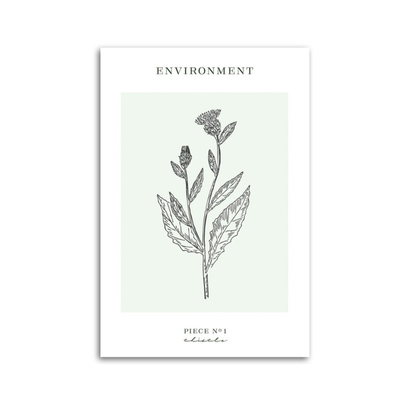 Bild auf Leinwand - Distelblume - Umwelt | Feeby