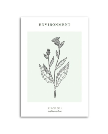 Bild auf Leinwand - Distelblume - Umwelt | Feeby