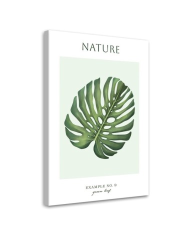 Canvas painting - Green monstera leaf | FEEBY