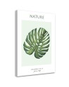 Obraz na płótnie - Zielony liść monstera - Natura | FEEBY