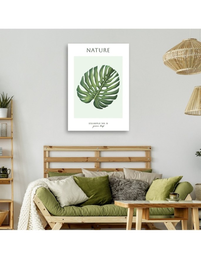 Obraz na płótnie - Zielony liść monstera - Natura | FEEBY