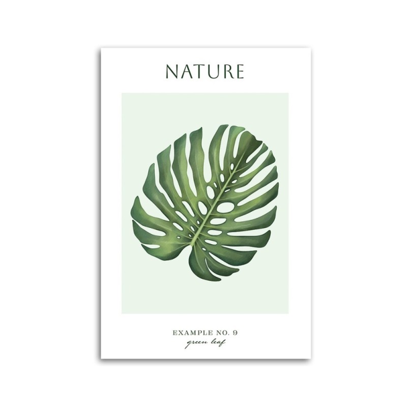 Dekoratives Leinwandbild - Grünes Blatt - Natur | Feeby