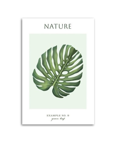 Dekoratives Leinwandbild - Grünes Blatt - Natur | Feeby