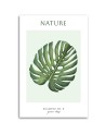 Obraz na płótnie - Zielony liść monstera - Natura | FEEBY