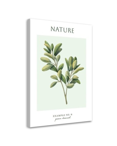 Modernes Wandbild - Grüner Zweig - Natur | Feeby