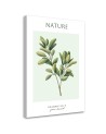 Obraz na płótnie - Zielona gałązka - Natura | FEEBY