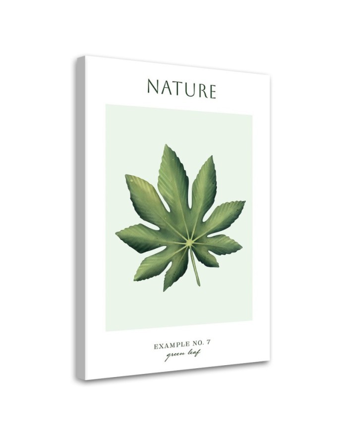 Wandbild für Wohnzimmer - Grünes Blatt - Natur | Feeby