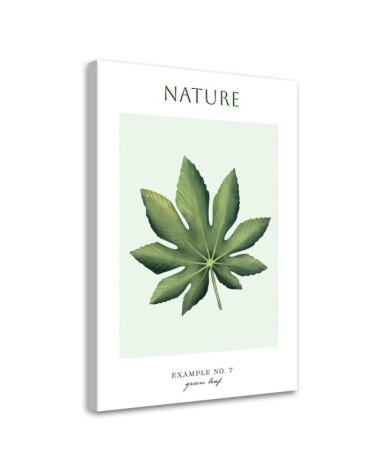 Wandbild für Wohnzimmer - Grünes Blatt - Natur | Feeby