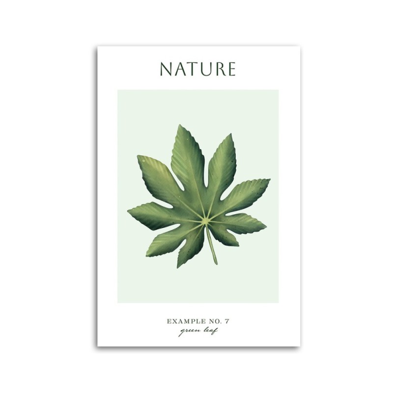 Wandbild für Wohnzimmer - Grünes Blatt - Natur | Feeby