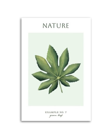 Wandbild für Wohnzimmer - Grünes Blatt - Natur | Feeby