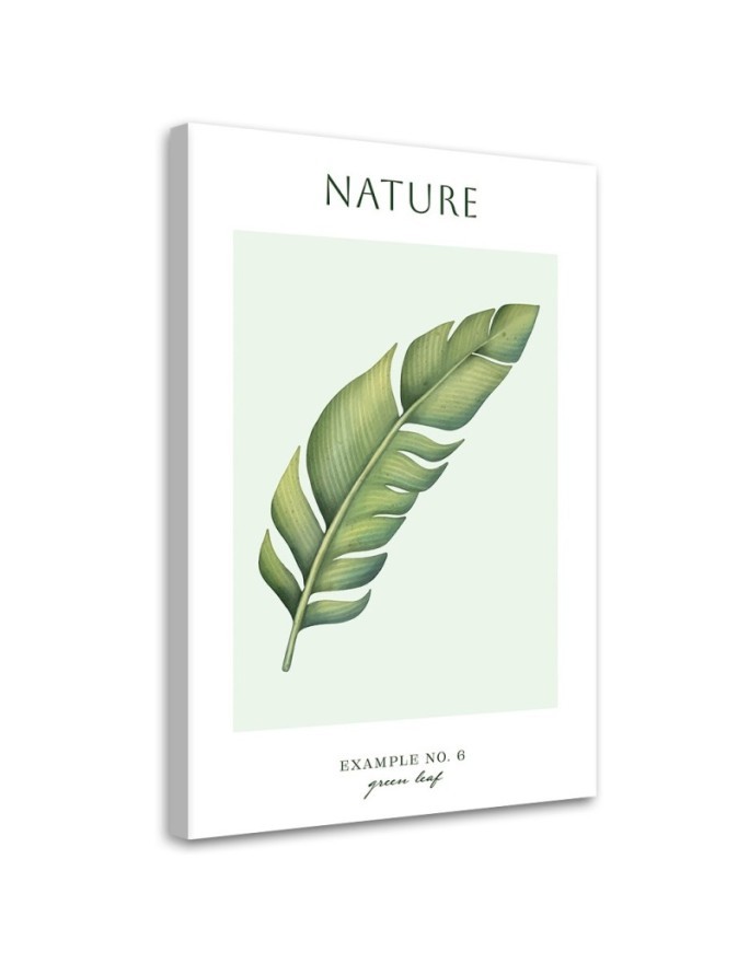 Leinwandbild - Grünes Blatt - Natur | Feeby