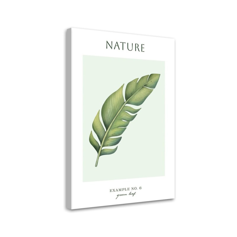 Leinwandbild - Grünes Blatt - Natur | Feeby