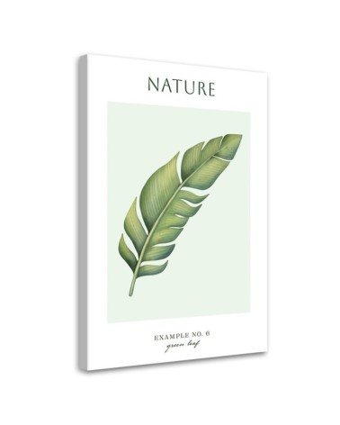 Obraz na płótnie - Zielony liśc - Natura | FEEBY