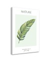 Obraz na płótnie - Zielony liśc - Natura | FEEBY