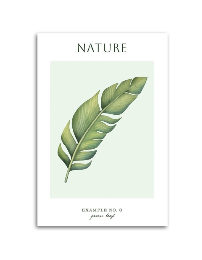 Obraz na płótnie - Zielony liśc - Natura | FEEBY