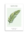 Obraz na płótnie - Zielony liśc - Natura | FEEBY