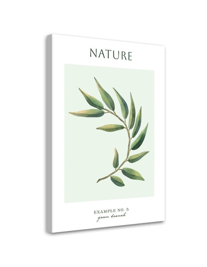 Bild auf Leinwand - Grüner Zweig - Natur | Feeby
