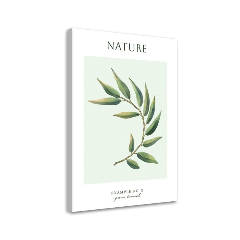 Bild auf Leinwand - Grüner Zweig - Natur | Feeby