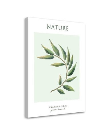 Bild auf Leinwand - Grüner Zweig - Natur | Feeby