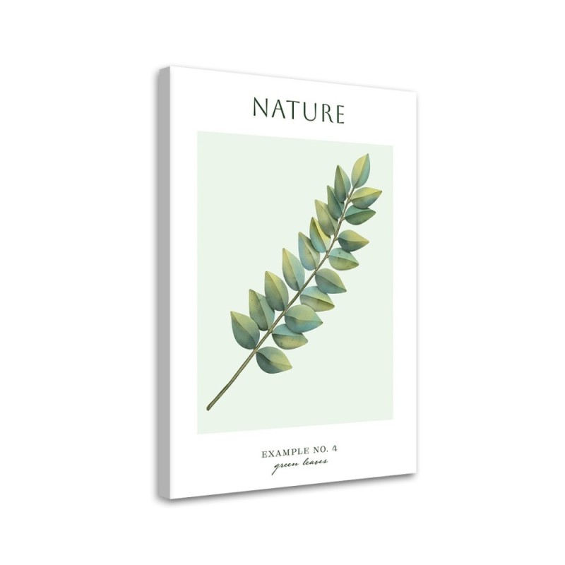 Obraz na płótnie - Zielone liście - Natura | FEEBY