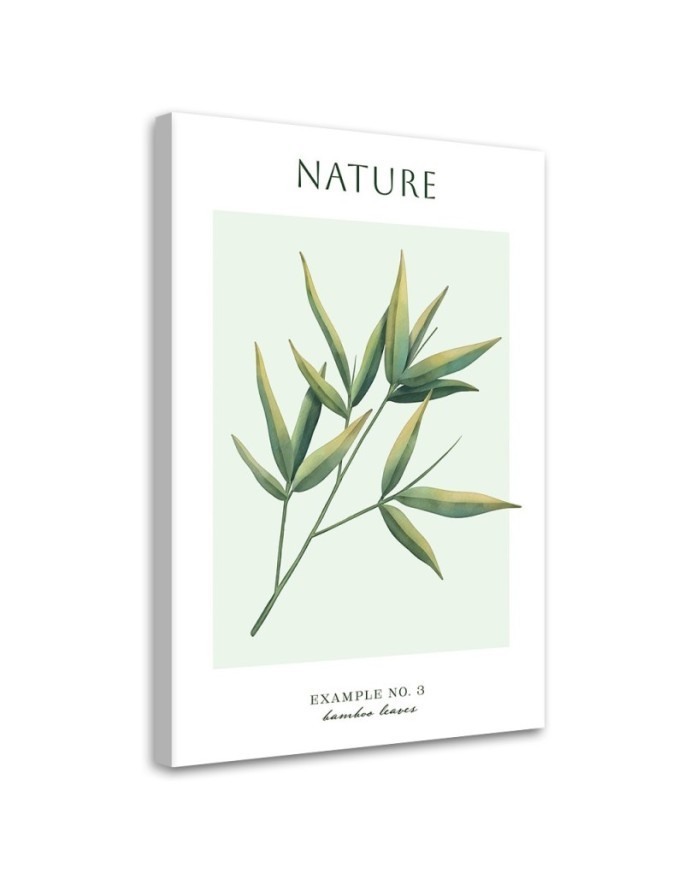 Obraz na płótnie - Liście bambusa - Natura | FEEBY