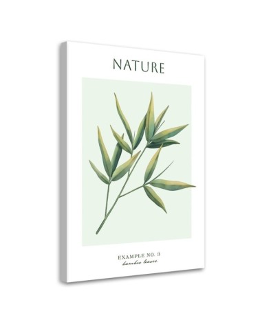 Obraz na płótnie - Liście bambusa - Natura | FEEBY