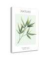 Obraz na płótnie - Liście bambusa - Natura | FEEBY