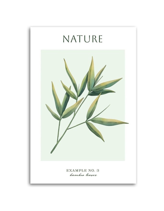 Obraz na płótnie - Liście bambusa - Natura | FEEBY