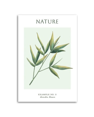 Leinwandbild modern - Bambusblätter - Natur | Feeby