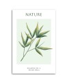 Obraz na płótnie - Liście bambusa - Natura | FEEBY