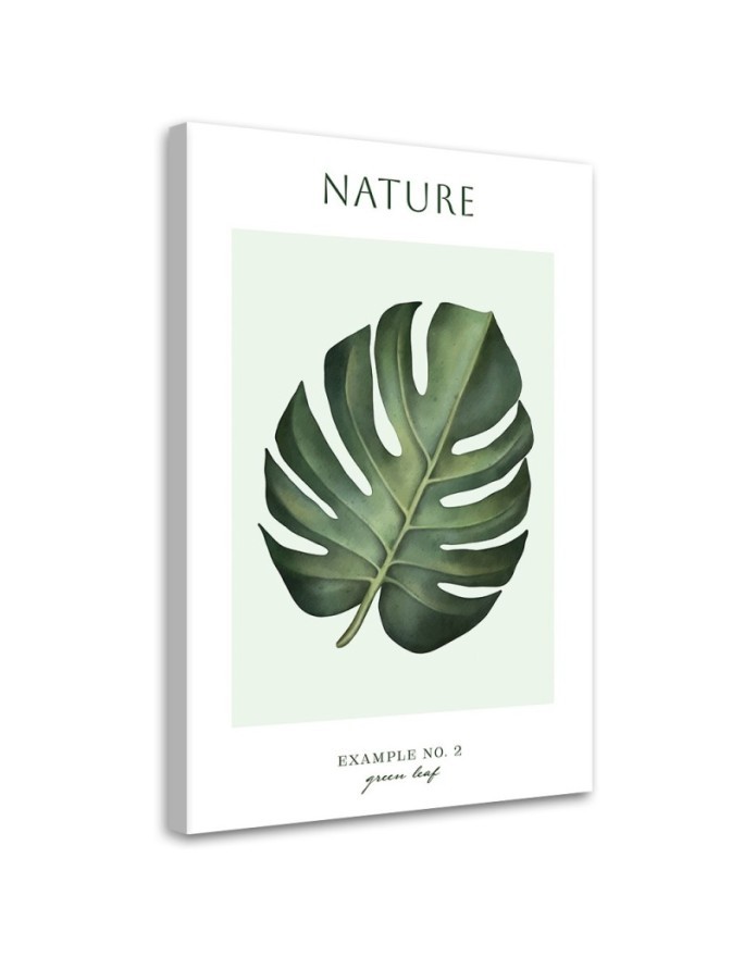 Obraz na płótnie - Zielony liść - Natura | FEEBY