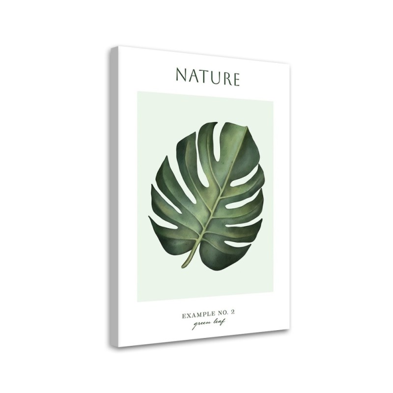 Obraz na płótnie - Zielony liść - Natura | FEEBY