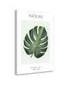 Obraz na płótnie - Zielony liść - Natura | FEEBY
