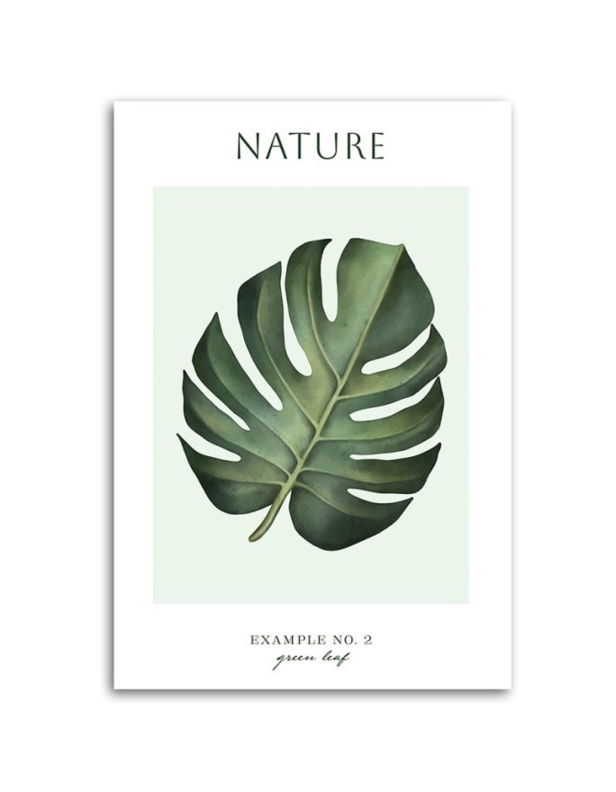 Obraz na płótnie - Zielony liść - Natura | FEEBY