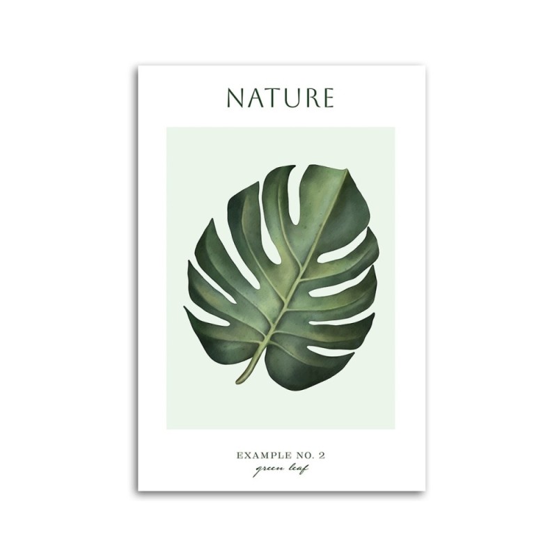 Bild auf Leinwand - Grünes Blatt - Natur | Feeby