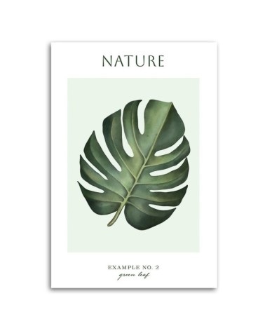 Bild auf Leinwand - Grünes Blatt - Natur | Feeby