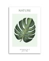 Obraz na płótnie - Zielony liść - Natura | FEEBY