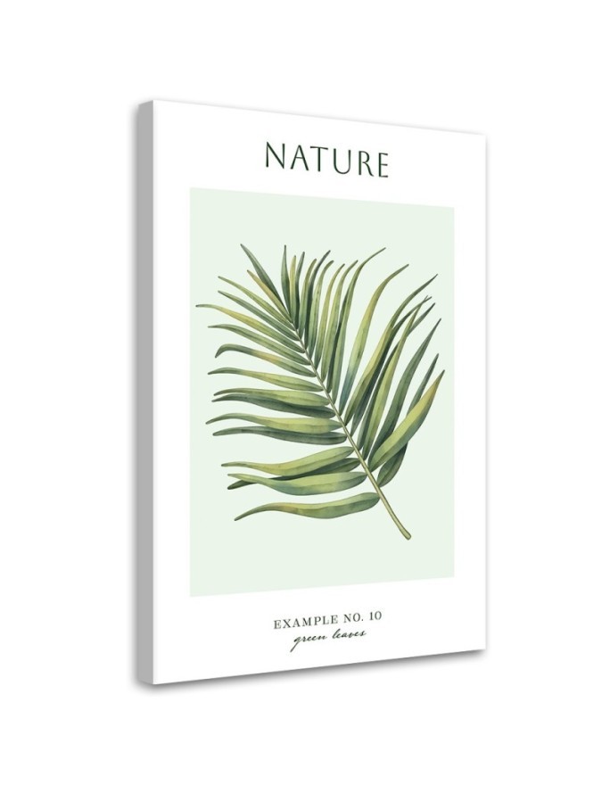 Obraz na płótnie - Zielone liście - Natura | FEEBY