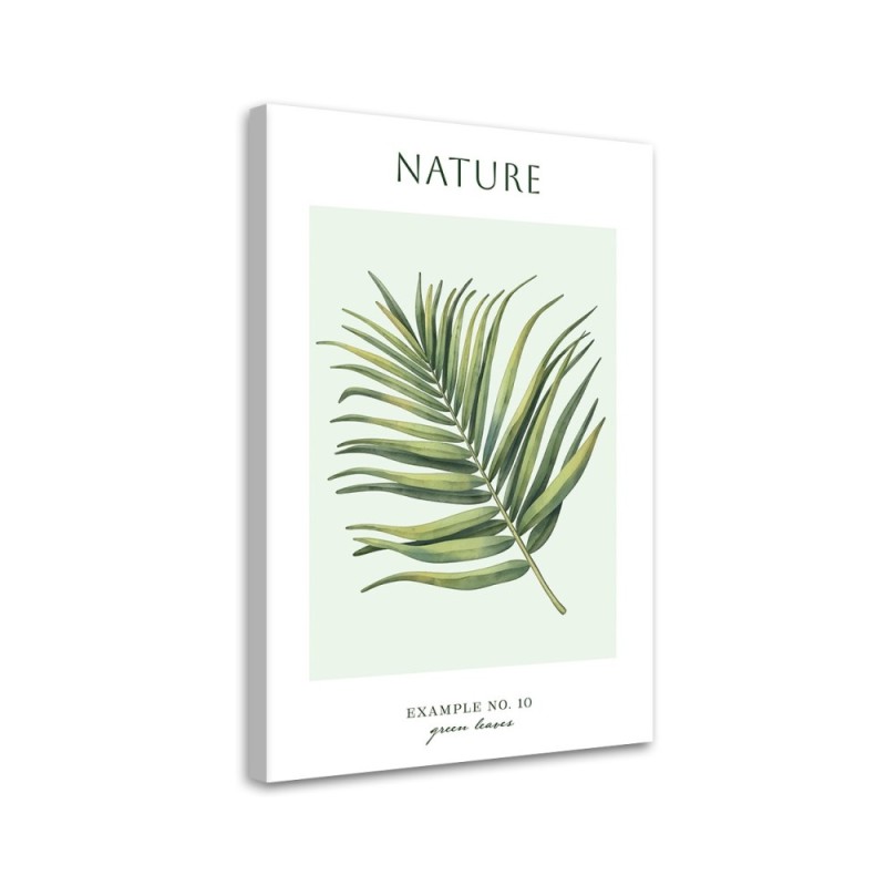 Leinwandbild - Grüne Blätter - Natur | Feeby