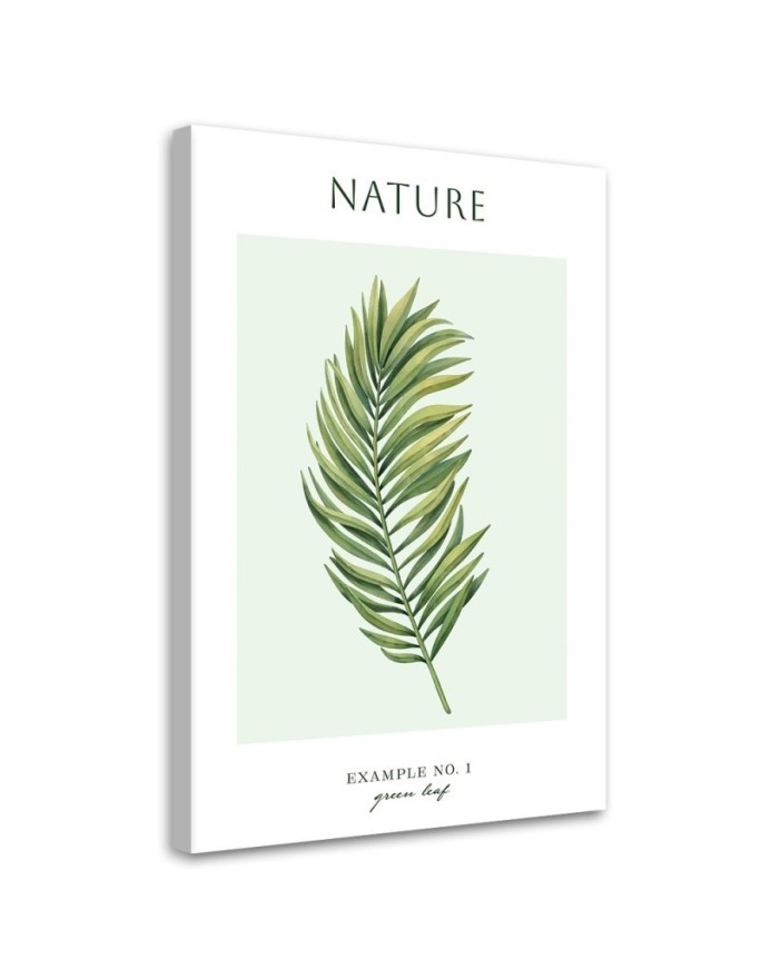 Obraz na płótnie - Zielony liść - Natura | FEEBY